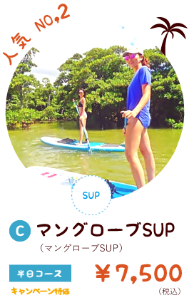 石垣島マングローブSUP