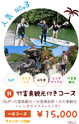 竹富島観光付きコース【一日】SUP・水牛車観光・レンタサイクル付
